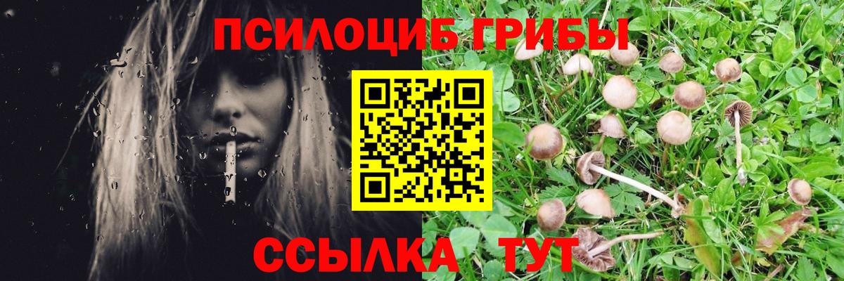 Псилоцибиновые грибы ЛСД Краснодар