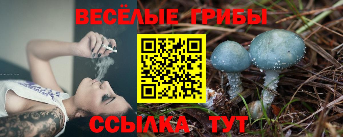 Псилоцибиновые грибы Cubensis  Вход с VPN  Краснодар 